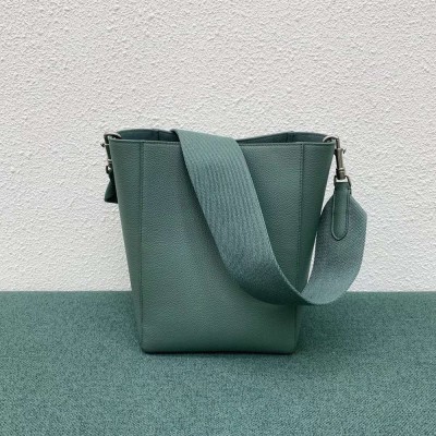 Celine Sangle Small Bucket Bag In Celadon Calfskin TDBS2527