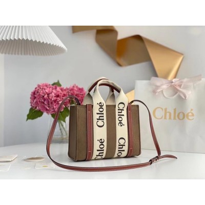 Chloe Small Woody Tote Bag In Brown Felt TDBS2686