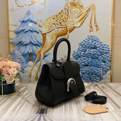 Delvaux Brillant Mini Bag in Black Rodeo Calf Leather TDBS2718