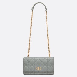 Dior Caro Belt Pouch with Chain In Grey Calfskin TDBS25380