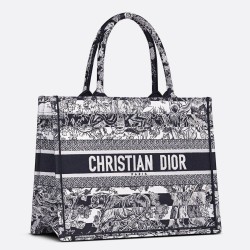 Dior Medium Book Tote Bag In Blue Toile de Jouy Stripes Embroidery TDBS2920