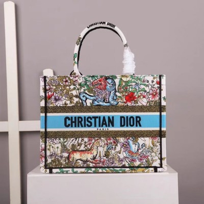 Dior Medium Book Tote In Latte D-Constellation Embroidery TDBS2955