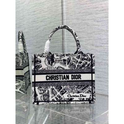 Dior Small Book Tote Bag In White Plan de Paris Embroidery TDBS2993