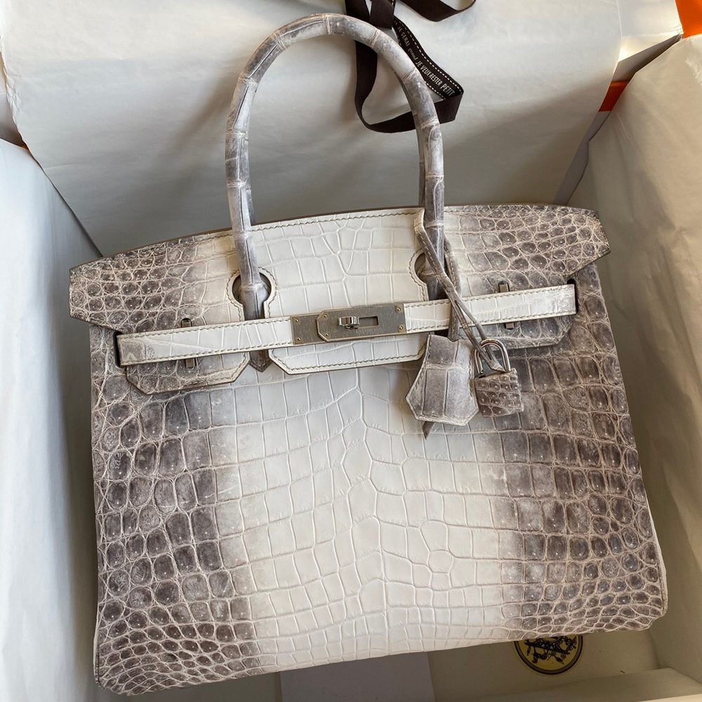 Hermes Birkin 25 Retourne Bag In Himalaya Niloticus Crocodile Skin TDBS26020