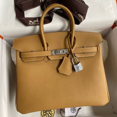 Hermes Birkin 25 Retourne Handmade Bag In Biscuit Clemence Leather TDBS26025