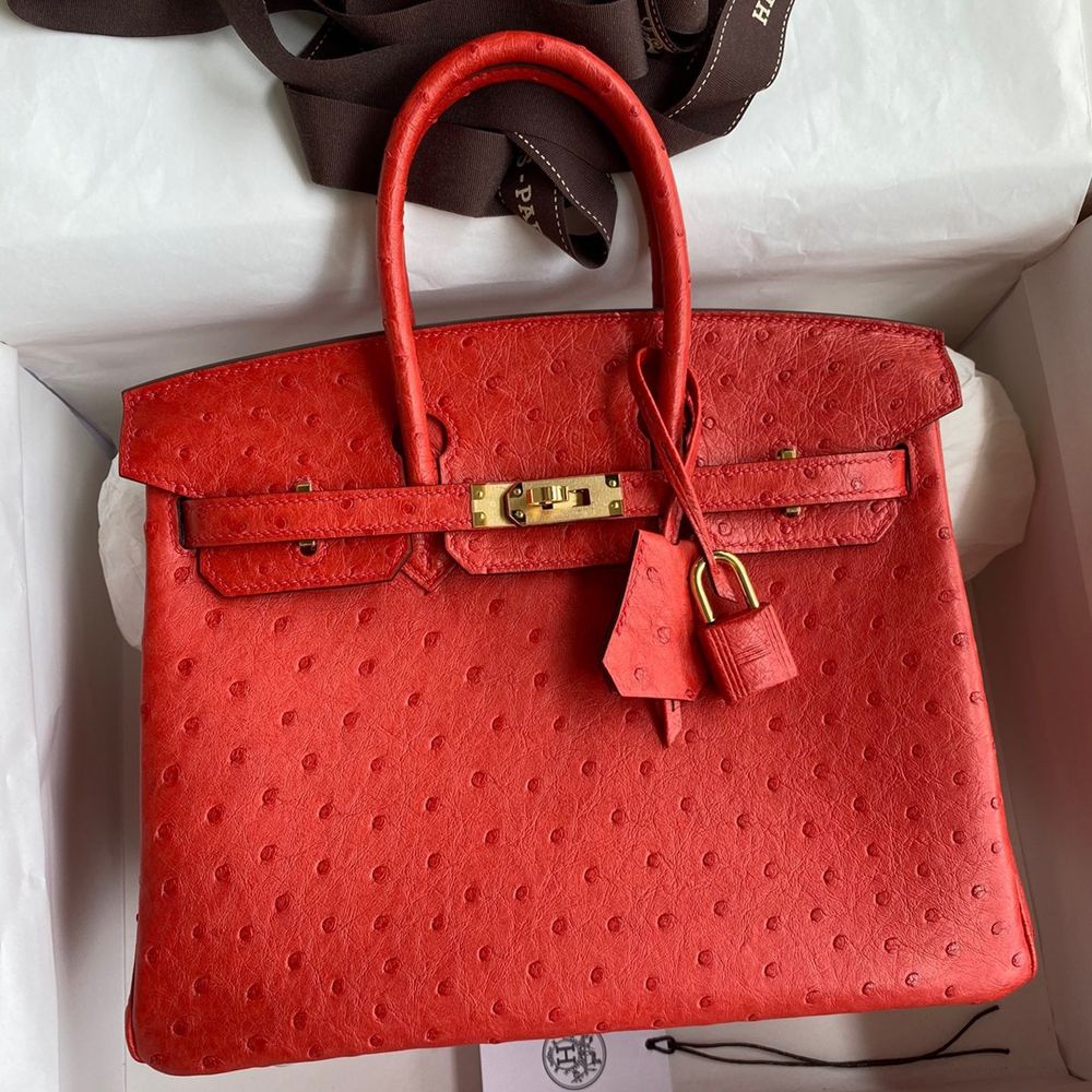 Hermes Birkin 25 Retourne Handmade Bag In Red Ostrich Leather TDBS26053