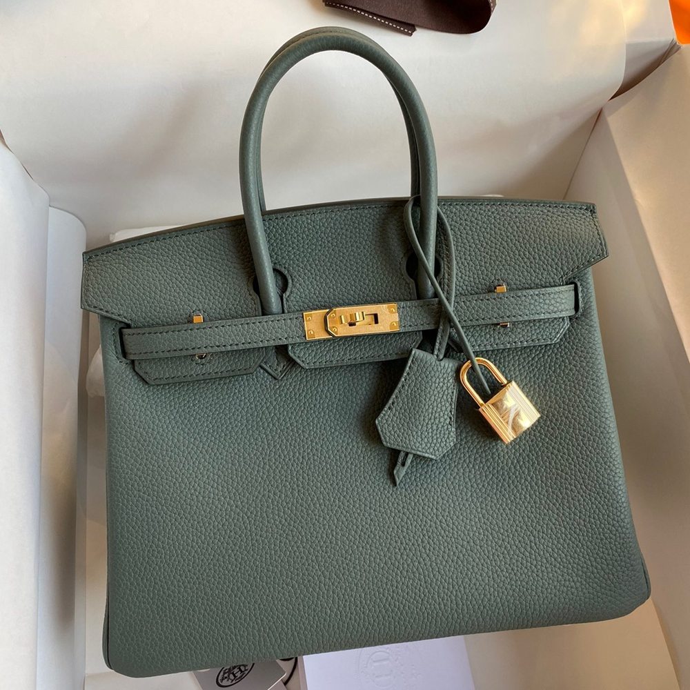 Hermes Birkin 25 Retourne Handmade Bag In Vert Amande Clemence Leather TDBS26057