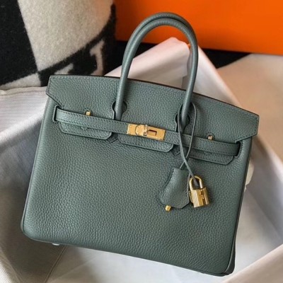 Hermes Birkin 25cm Bag In Vert Amande Clemence Leather TDBS26095