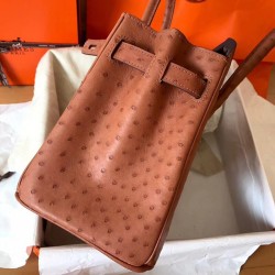 Hermes Brown Birkin 30cm Ostrich Handmade Bag TDBS26213